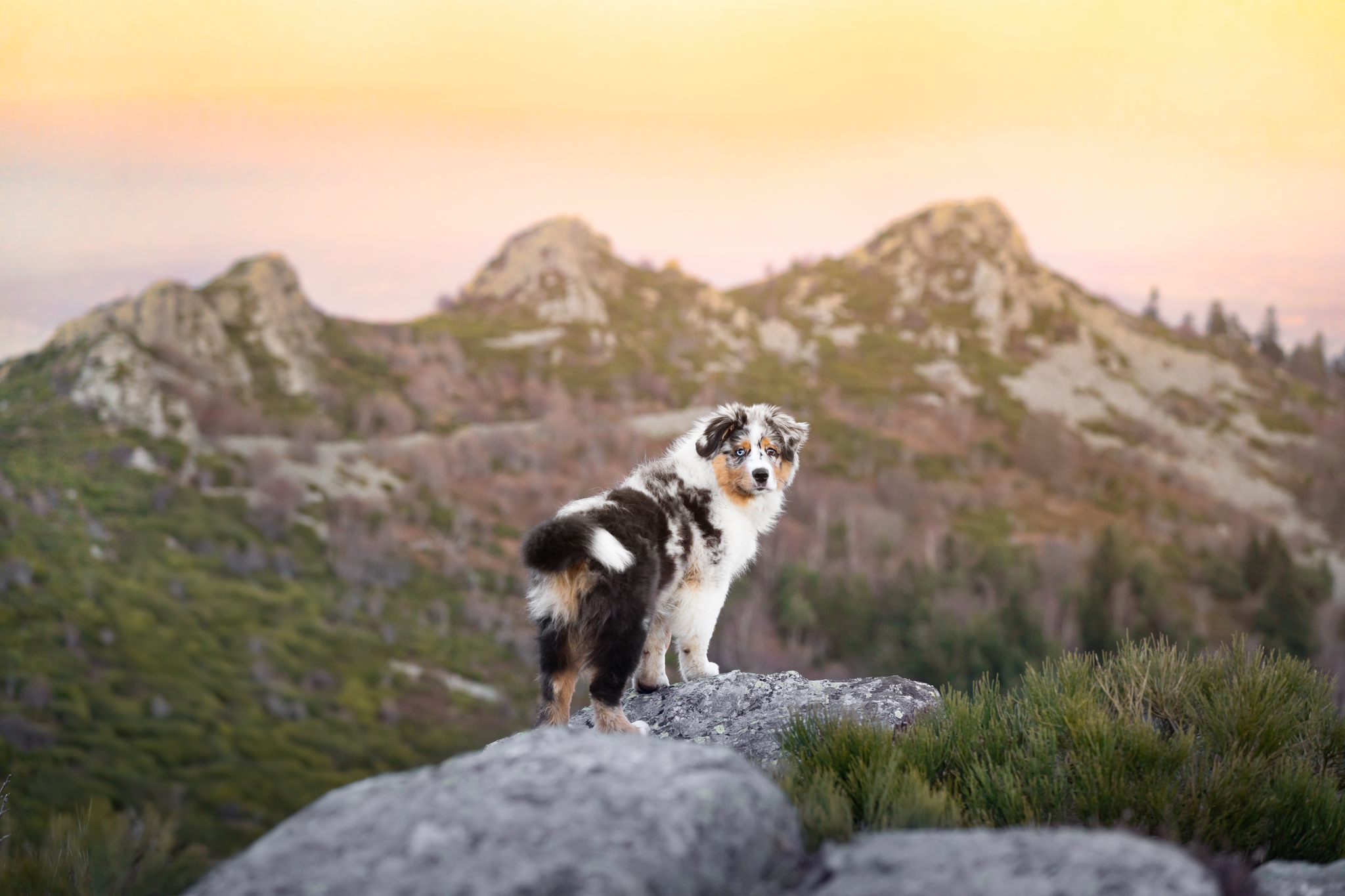 Portfolio Ystelle Photographie