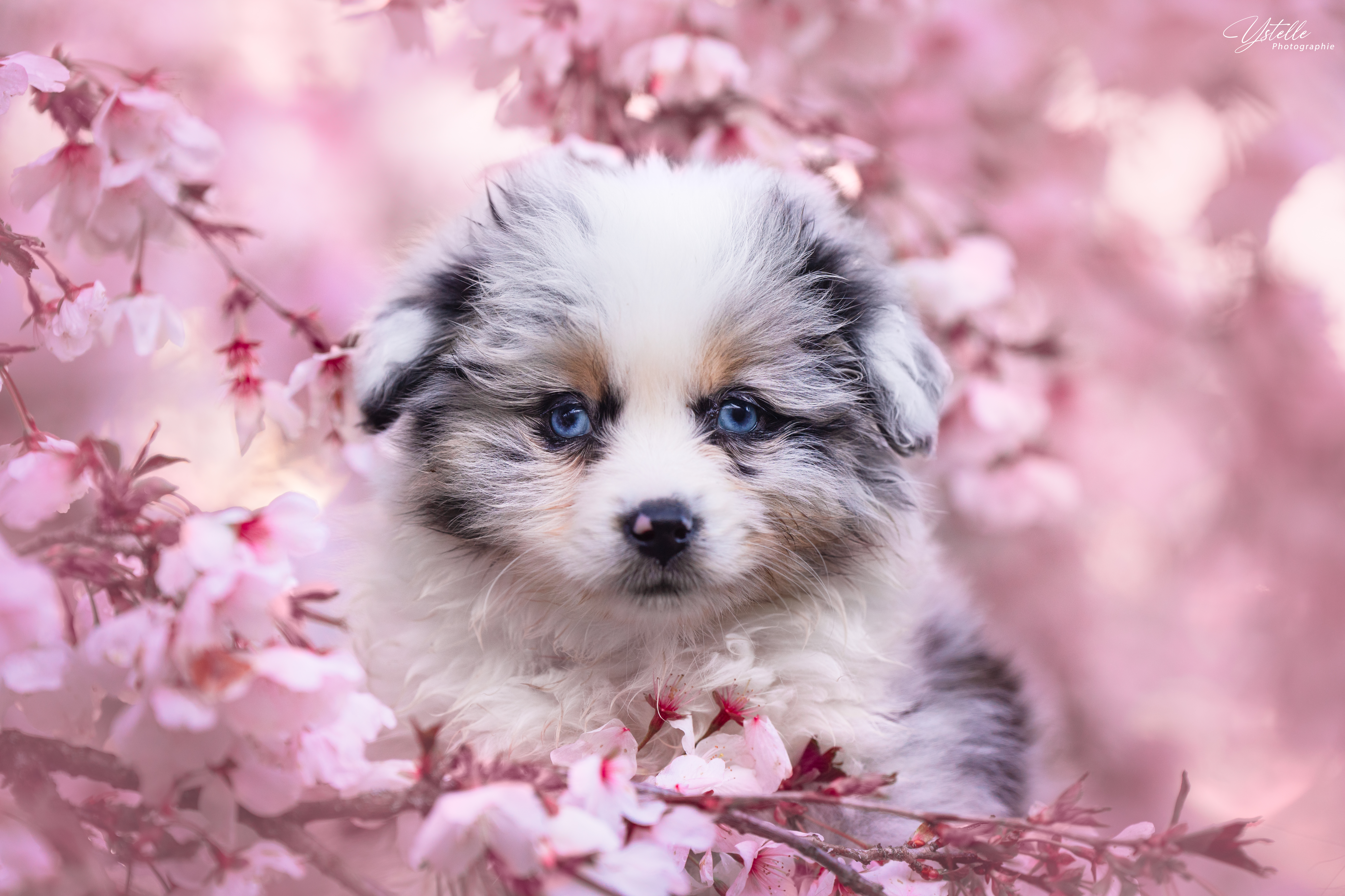 Photographie Bon Cadeau